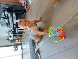 louis